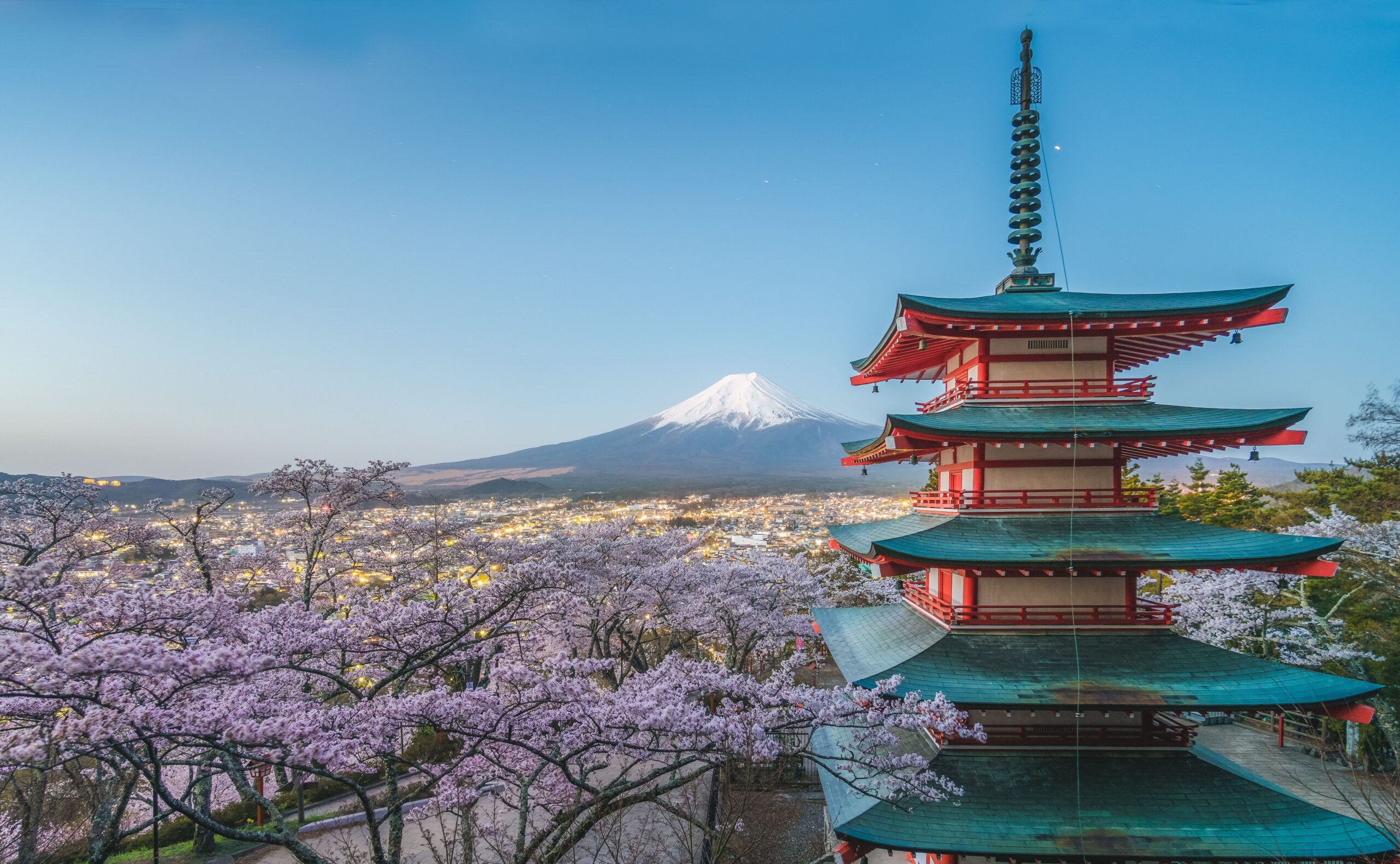 Japan: the standout