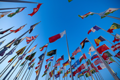 differnt country flags