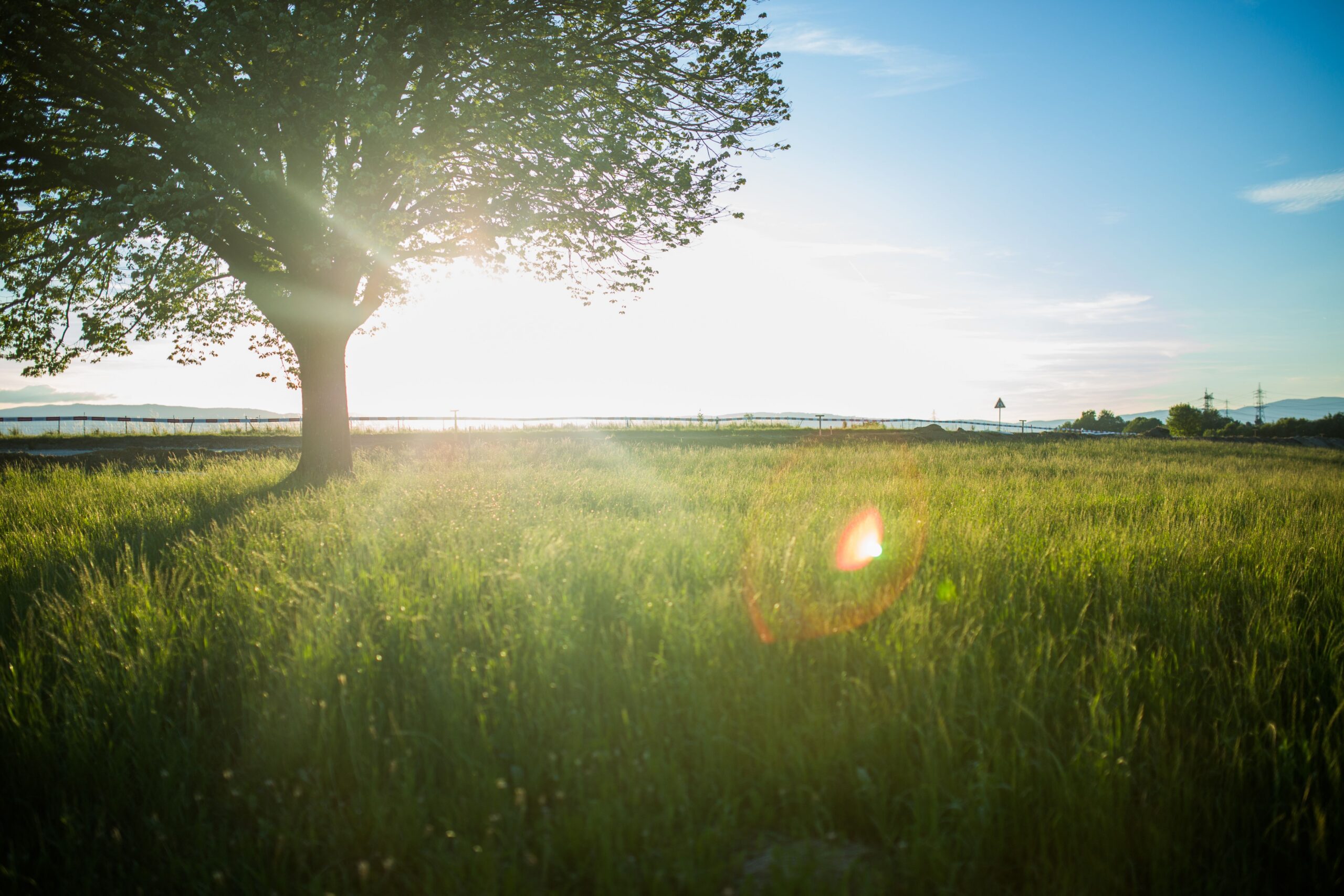 5. Get outside every day