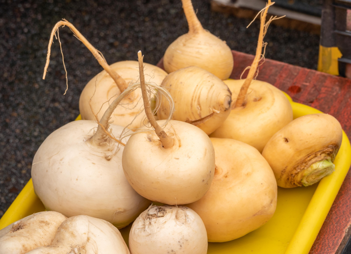 jicama